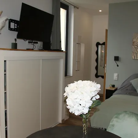 Apartmán L'embellie Aix-les-Bains